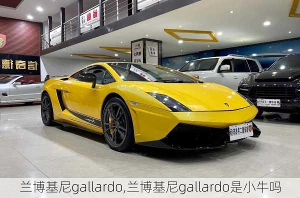 兰博基尼gallardo,兰博基尼gallardo是小牛吗