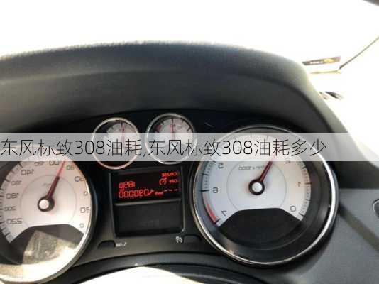 东风标致308油耗,东风标致308油耗多少