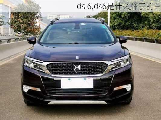 ds 6,ds6是什么牌子的车