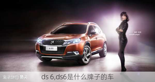 ds 6,ds6是什么牌子的车