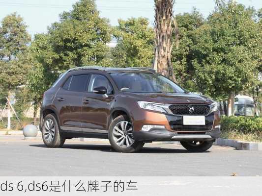 ds 6,ds6是什么牌子的车