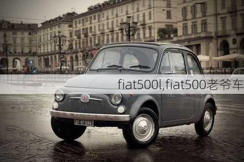 fiat500l,fiat500老爷车