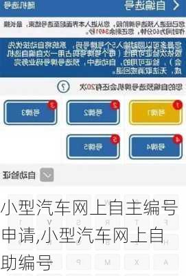 小型汽车网上自主编号申请,小型汽车网上自助编号