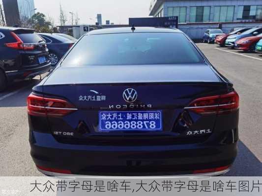 大众带字母是啥车,大众带字母是啥车图片