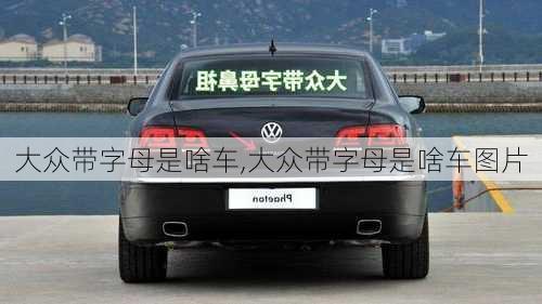 大众带字母是啥车,大众带字母是啥车图片