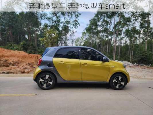 奔驰微型车,奔驰微型车smart