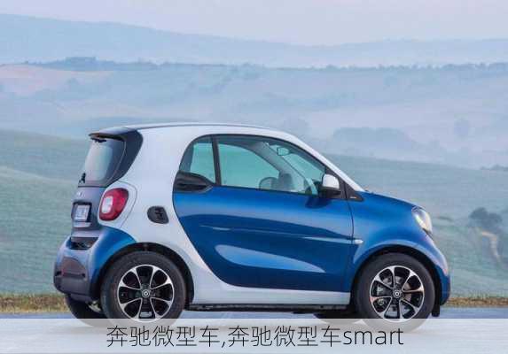 奔驰微型车,奔驰微型车smart