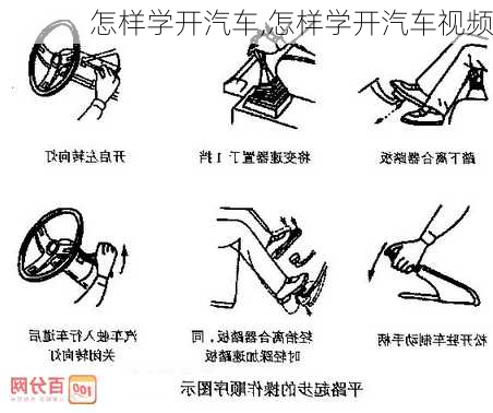 怎样学开汽车,怎样学开汽车视频