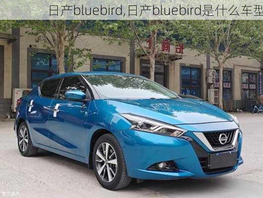 日产bluebird,日产bluebird是什么车型