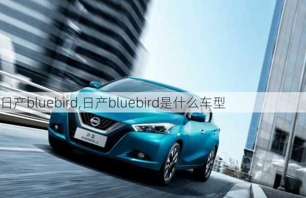 日产bluebird,日产bluebird是什么车型