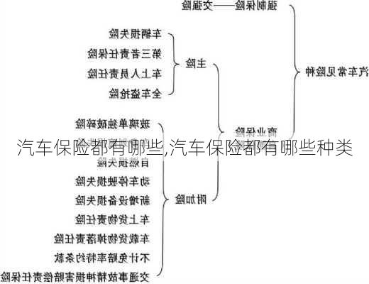 汽车保险都有哪些,汽车保险都有哪些种类