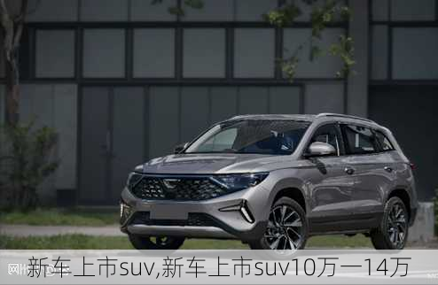 新车上市suv,新车上市suv10万一14万