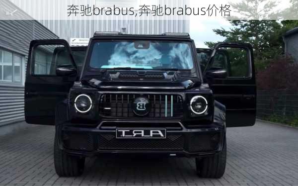 奔驰brabus,奔驰brabus价格