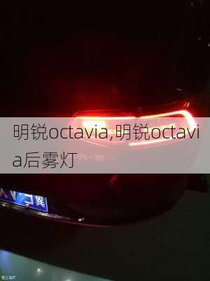 明锐octavia,明锐octavia后雾灯