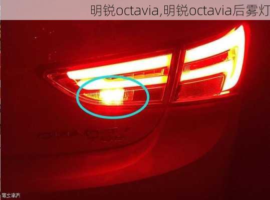 明锐octavia,明锐octavia后雾灯