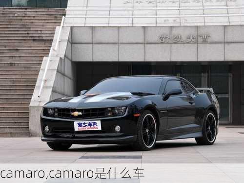 camaro,camaro是什么车