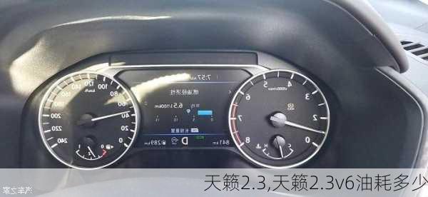 天籁2.3,天籁2.3v6油耗多少