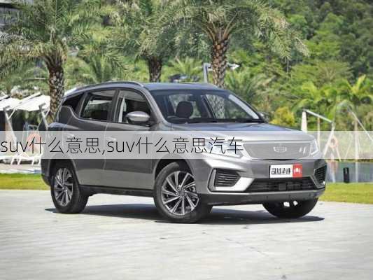 suv什么意思,suv什么意思汽车