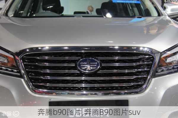 奔腾b90图片,奔腾B90图片suv