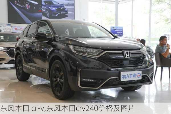 东风本田 cr-v,东风本田crv240价格及图片