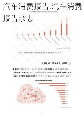 汽车消费报告,汽车消费报告杂志