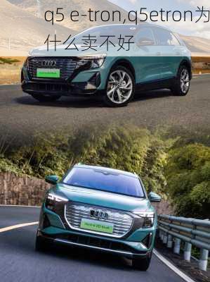 q5 e-tron,q5etron为什么卖不好