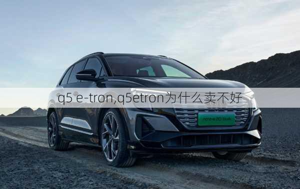 q5 e-tron,q5etron为什么卖不好