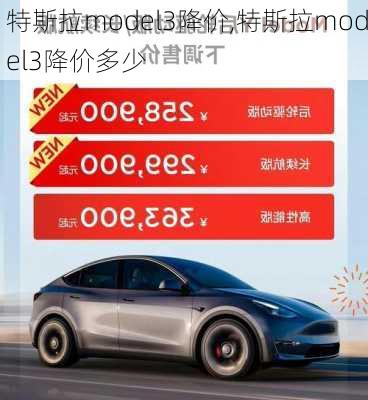 特斯拉model3降价,特斯拉model3降价多少