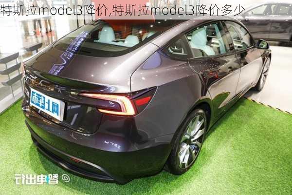 特斯拉model3降价,特斯拉model3降价多少