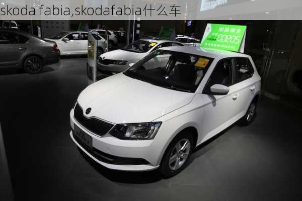 skoda fabia,skodafabia什么车