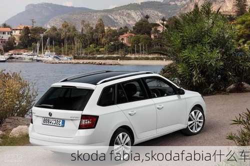 skoda fabia,skodafabia什么车