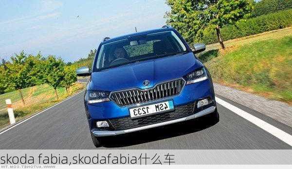 skoda fabia,skodafabia什么车