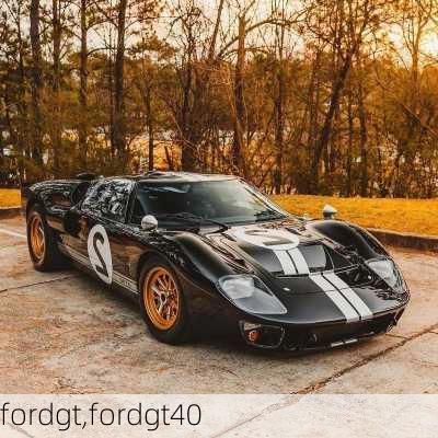 fordgt,fordgt40