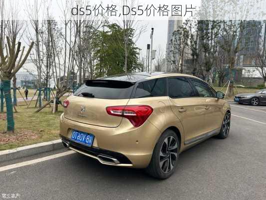 ds5价格,Ds5价格图片