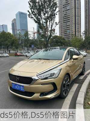 ds5价格,Ds5价格图片