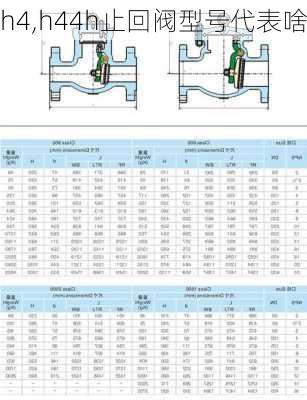 h4,h44h止回阀型号代表啥