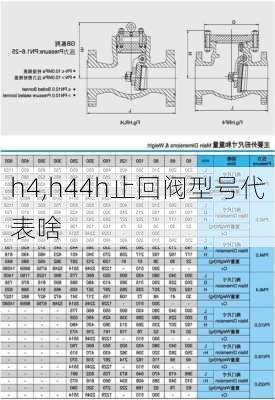 h4,h44h止回阀型号代表啥