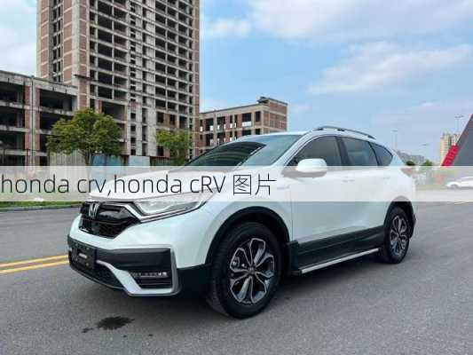 honda crv,honda cRV 图片