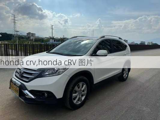 honda crv,honda cRV 图片