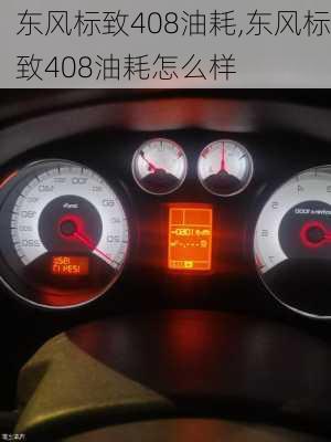 东风标致408油耗,东风标致408油耗怎么样