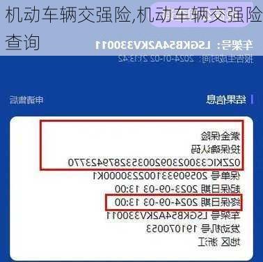 机动车辆交强险,机动车辆交强险查询