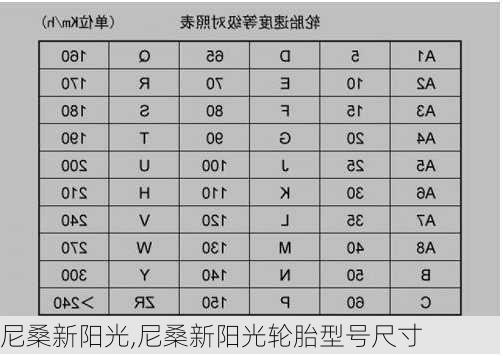 尼桑新阳光,尼桑新阳光轮胎型号尺寸