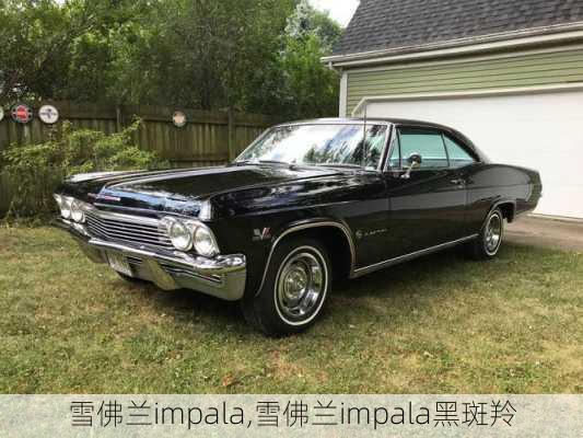 雪佛兰impala,雪佛兰impala黑斑羚