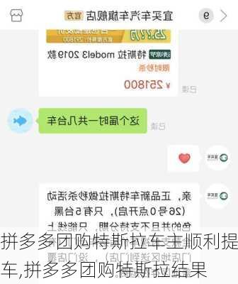 拼多多团购特斯拉车主顺利提车,拼多多团购特斯拉结果