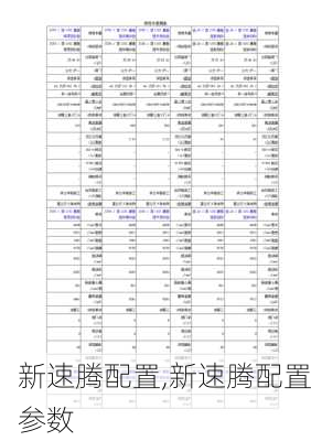 新速腾配置,新速腾配置参数