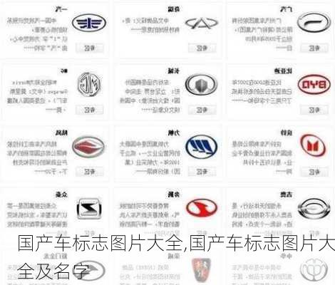 国产车标志图片大全,国产车标志图片大全及名字