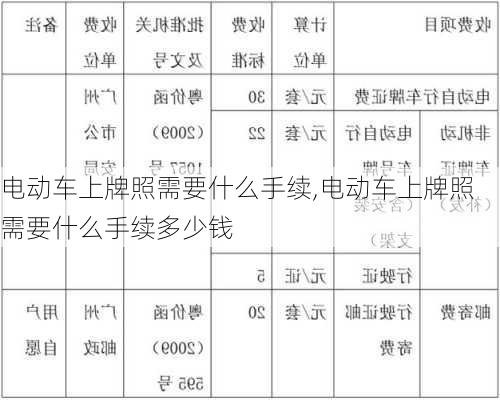 电动车上牌照需要什么手续,电动车上牌照需要什么手续多少钱