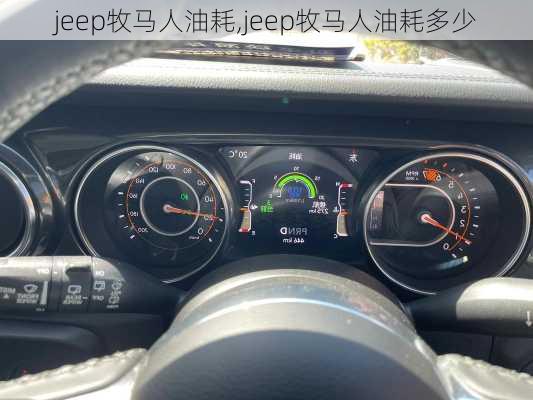 jeep牧马人油耗,jeep牧马人油耗多少