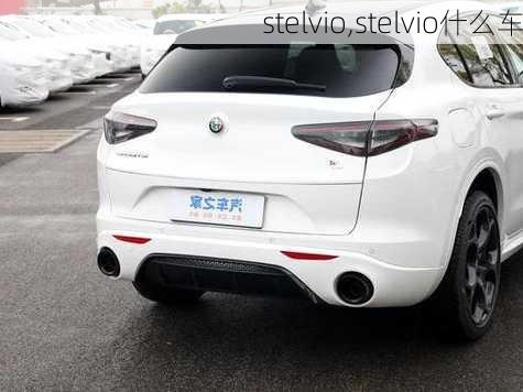 stelvio,stelvio什么车