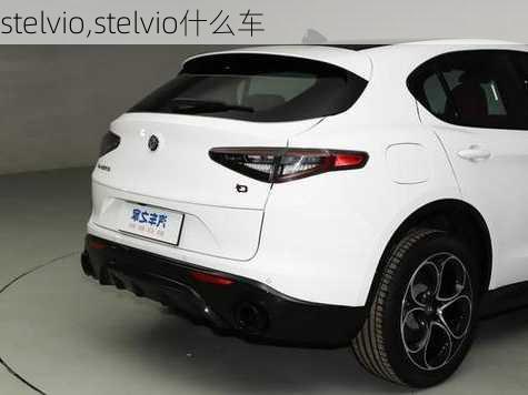 stelvio,stelvio什么车